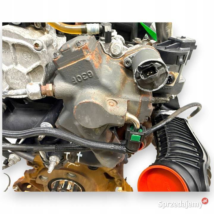 SILNIK G6DG Ford Kuga 20 TDCI 136 diesel Chełm