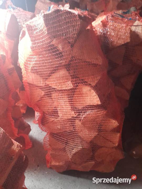 Sprzedam drzewo workowane Olcha lubelskie Baranów