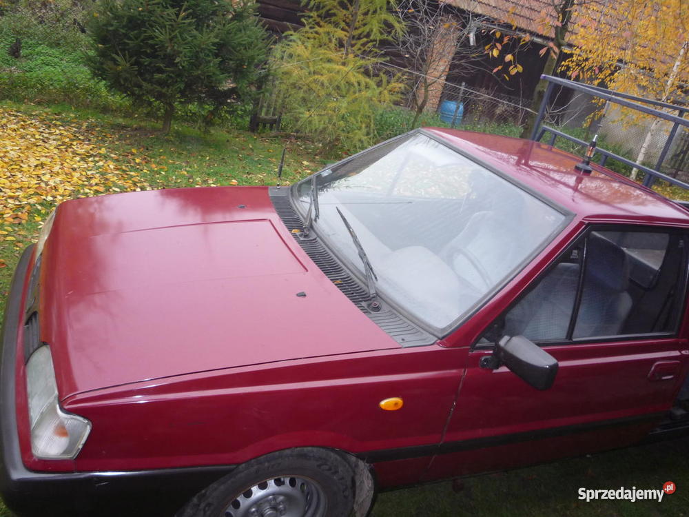 Polonez Truck 19 Diesel Bochnia