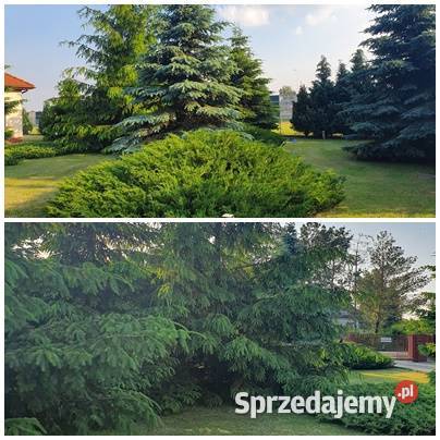 Dom jednorodzinny w Świdniku beton komórkowy