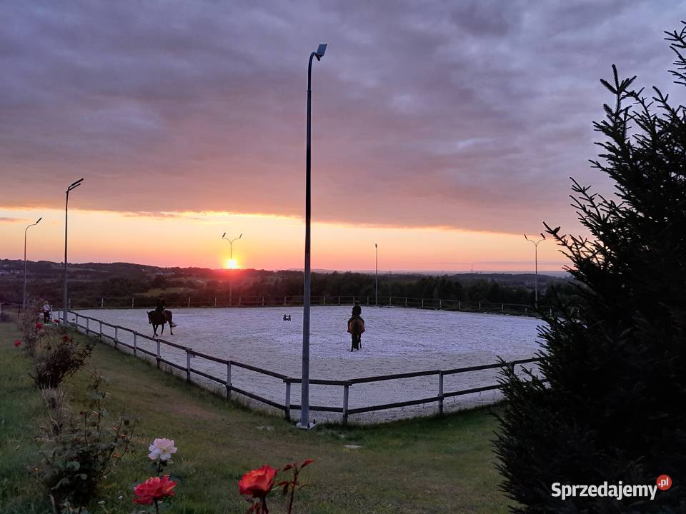 Ośrodek jeździecki stajnia pensjonat hotel koni Bodzanów