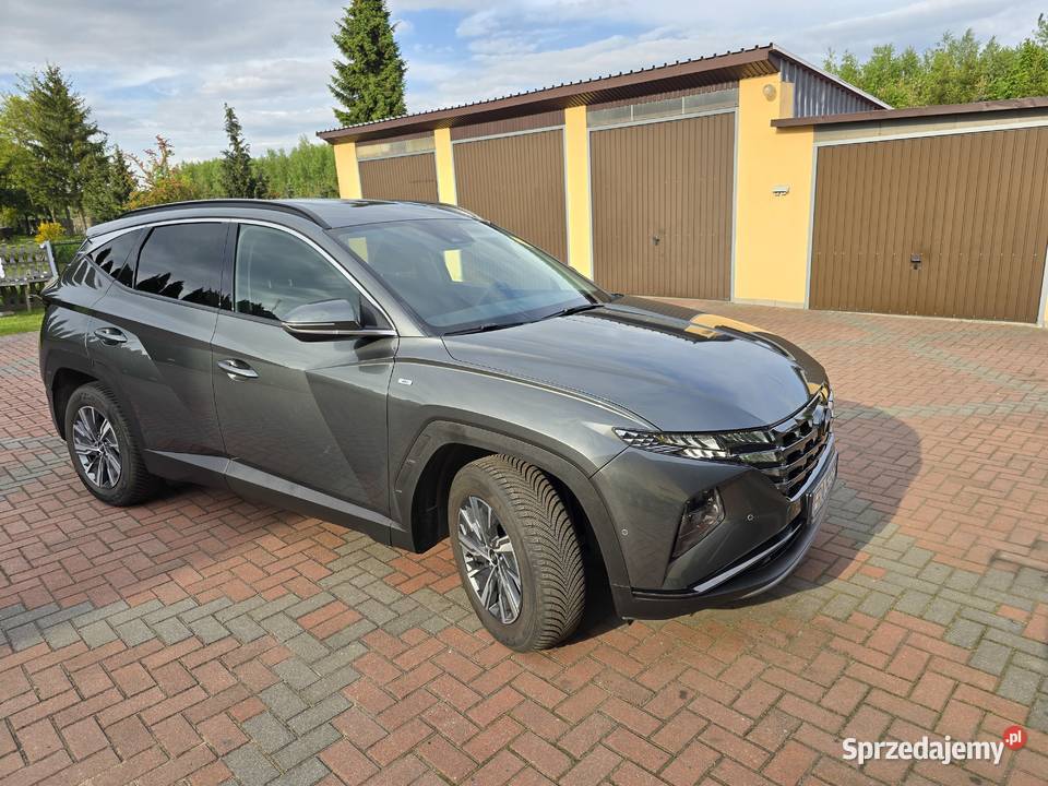 Hyundai Tucson lV 16 CRDI mild hybrid 48V Lgota Wielka sprzedam