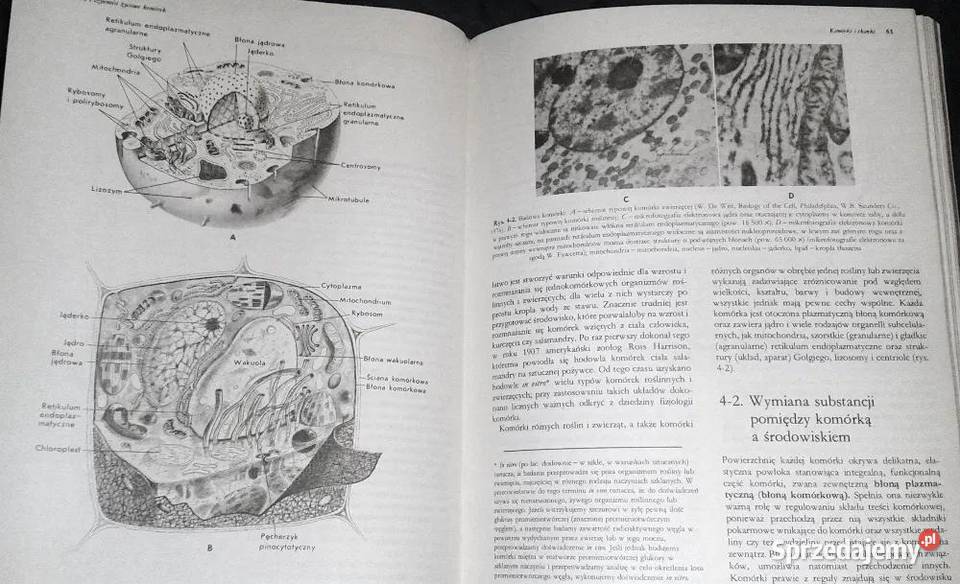 Biologia Claude A Villee Chełm sprzedam