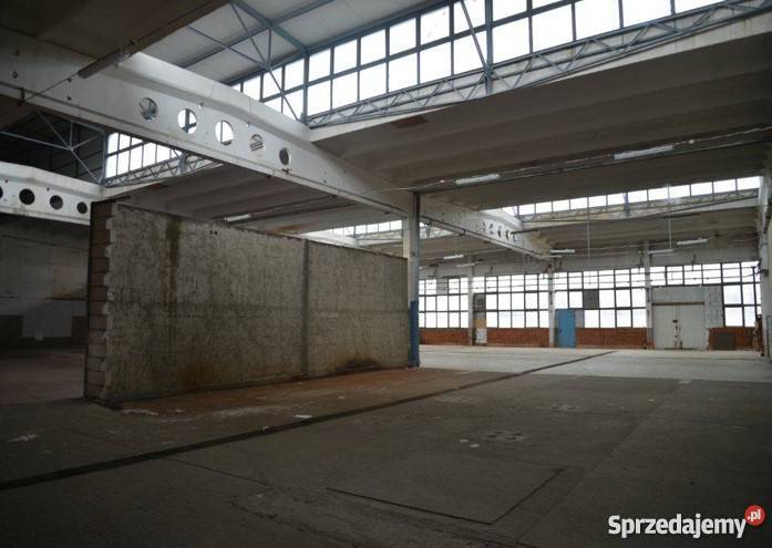Hala magazynowo produkcyjna Prusice 8 PLNm2 2280m2 Prusice