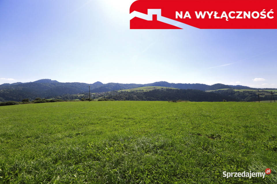 Działka w Grywałdzie 11003 ha warunki zabudowy Nieruchomości