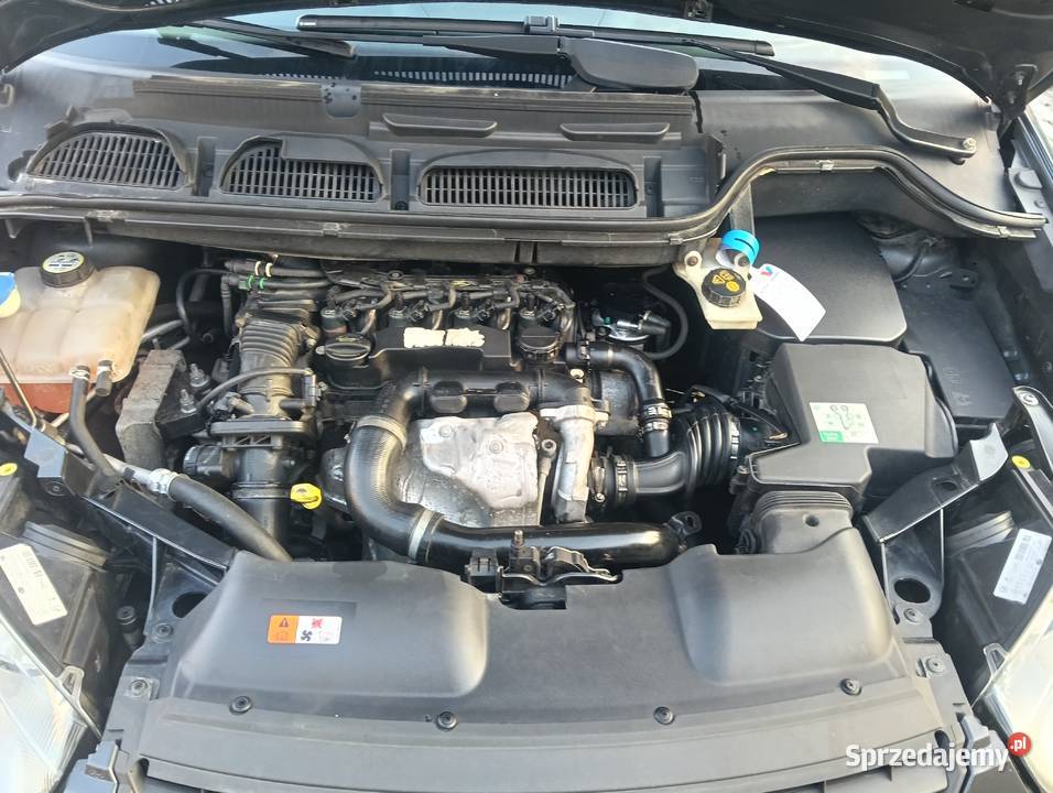 Ford C do końca roku