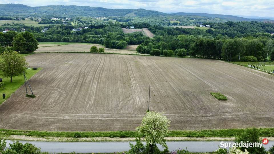 Działka budowlana 10 ar 12 ar TŁUCZAŃ 200zł/m2 Tłuczań