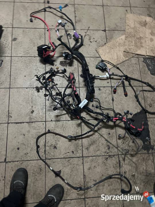 Instalacja silnika 16 Dci Renault Scenic III Radzyń Podlaski