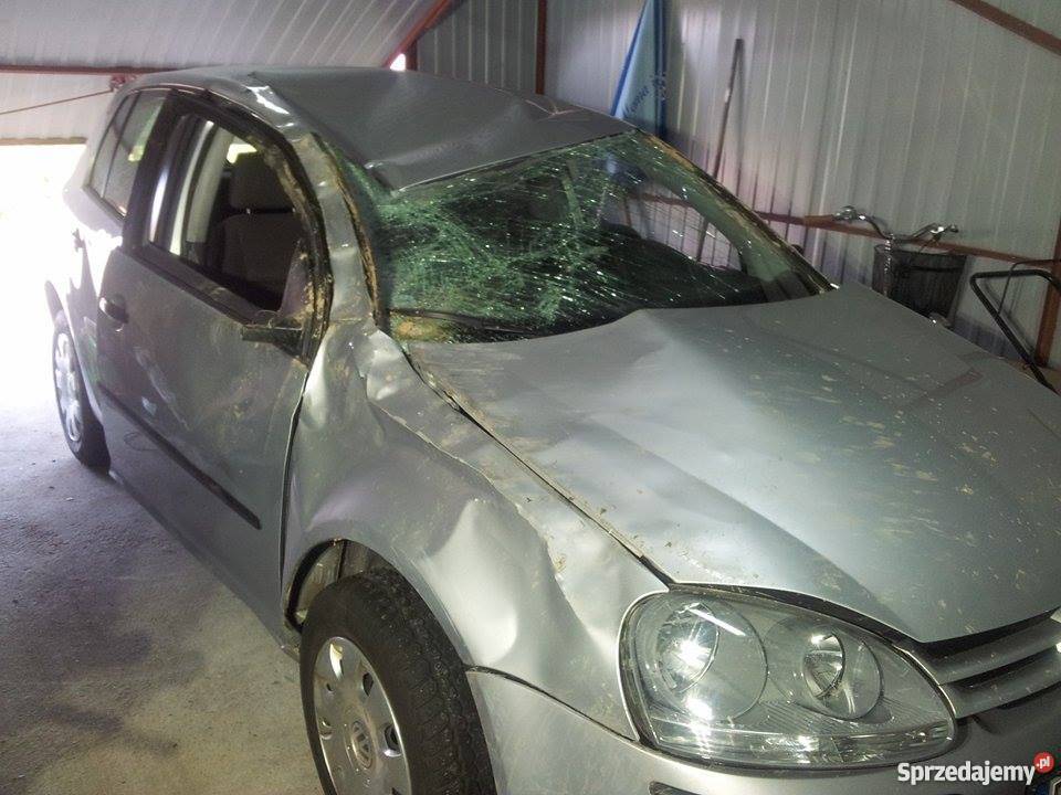 VW GOLF V USZKODZONY 2004r 19 TDI