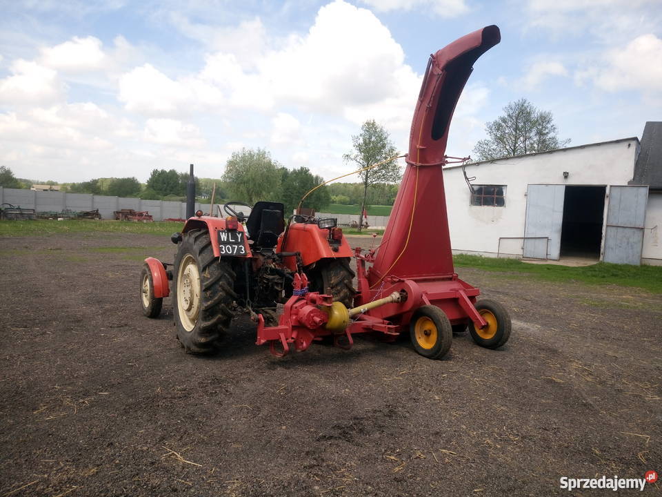 Taarup kvernelan scinacz zielonek orkan Radomice