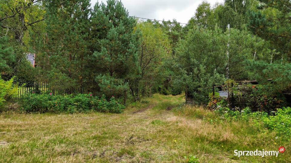 WŁASNY LAS I DOM 260 M 62 HA PRYWATNEJ