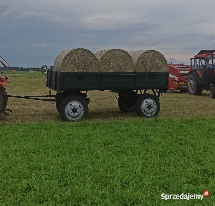 Przyczepa d44 Radomice sprzedam