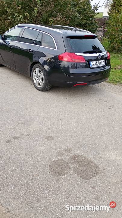 Opel Insignia 2011 Tczewskie Łąki