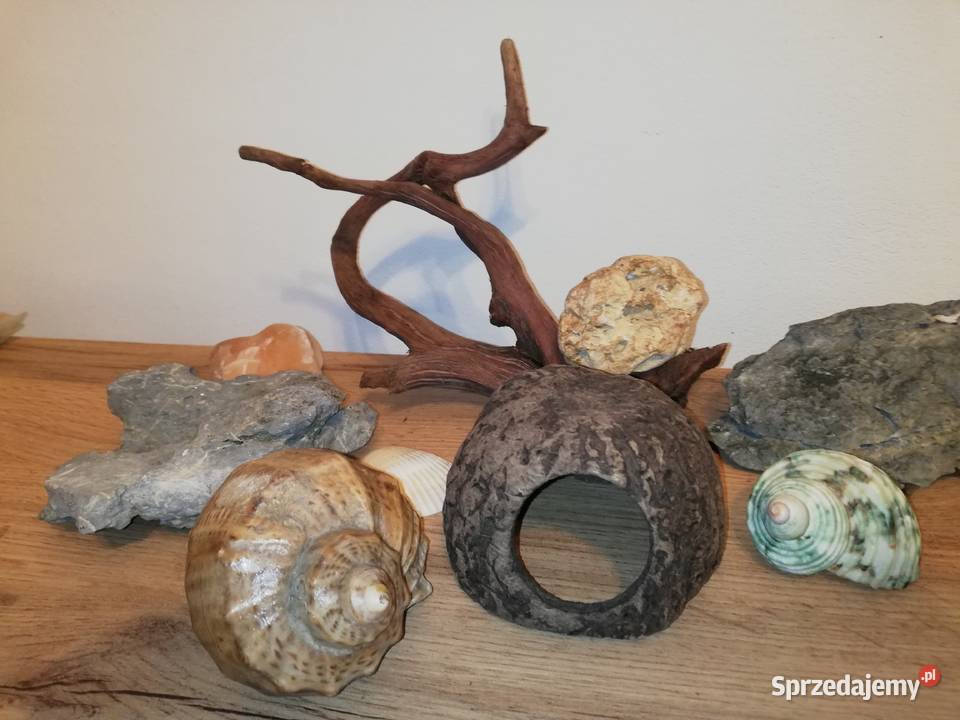 Dekoracje naturalne do akwarium Tanio mazowieckie Warszawa