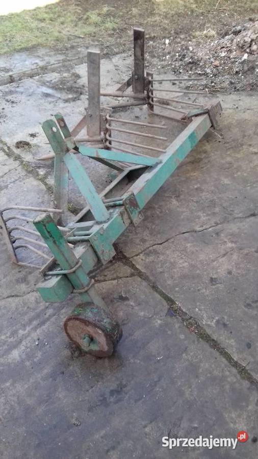 wyorywacz świętokrzyskie