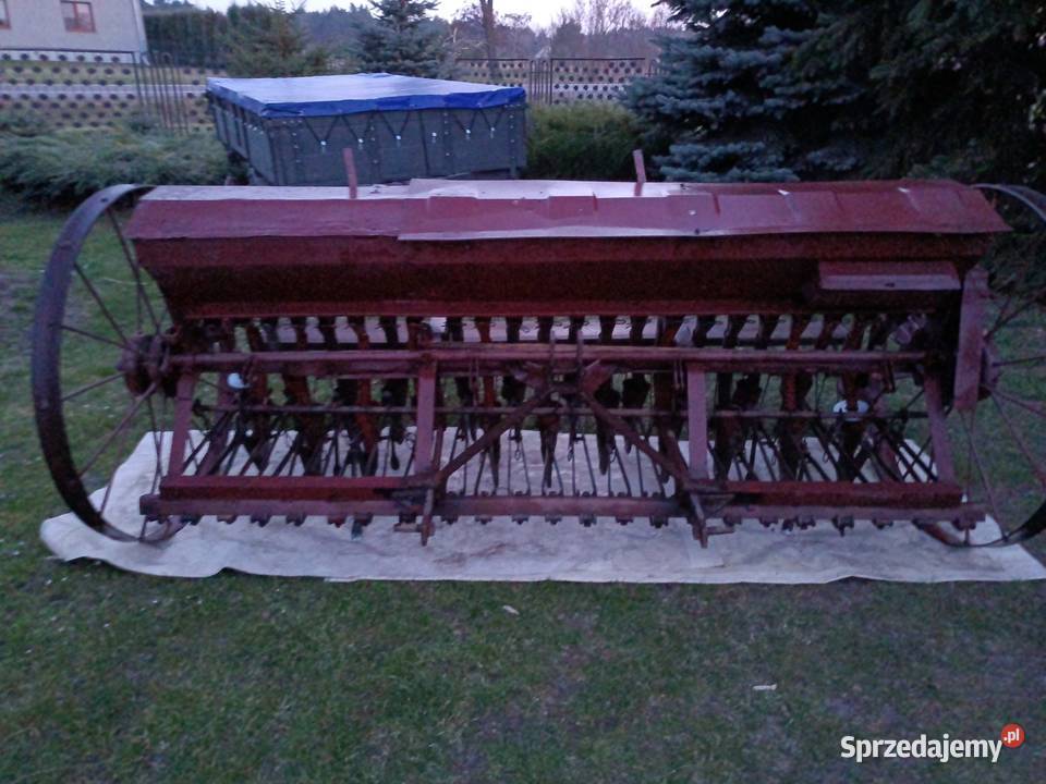 Sprzedam siewnik Siewniki i sadzarki Pełczyn