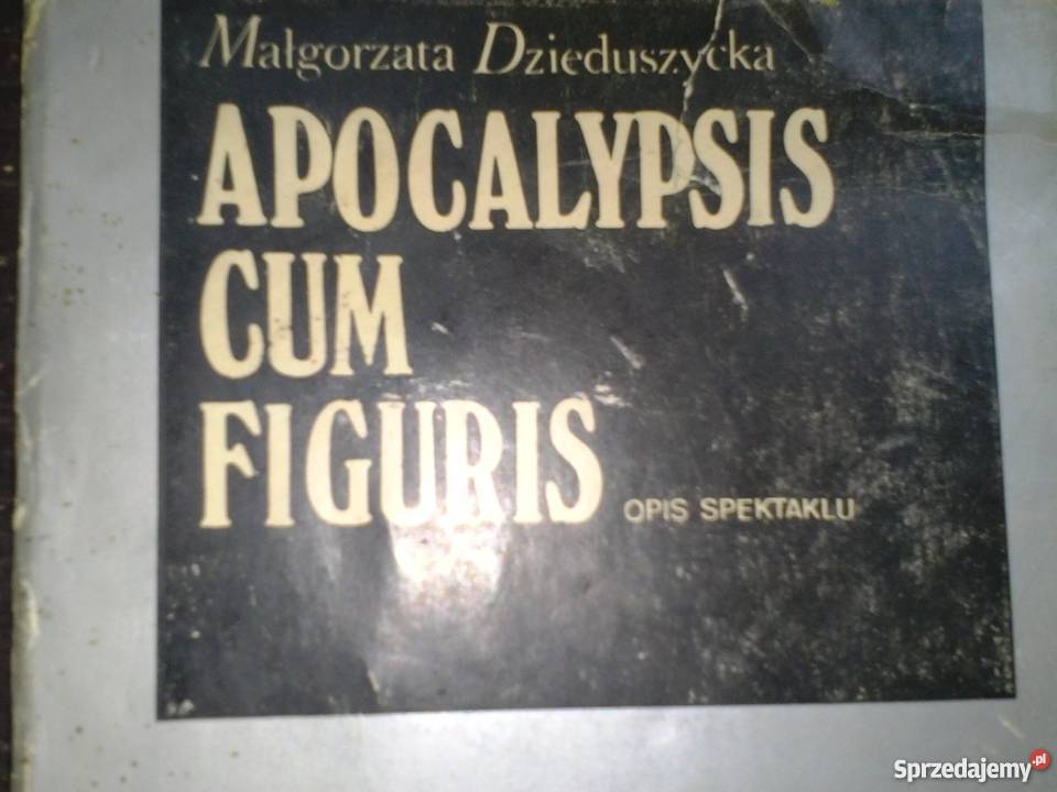 APOCALYPSIS CUM FIGURIS DZIEDUSZYCKA MAŁGORZATA małopolskie Kraków sprzedam