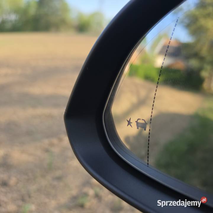 Opel Insignia 20 CDTI 163 Automat Full ACC Skóra Niemodlin