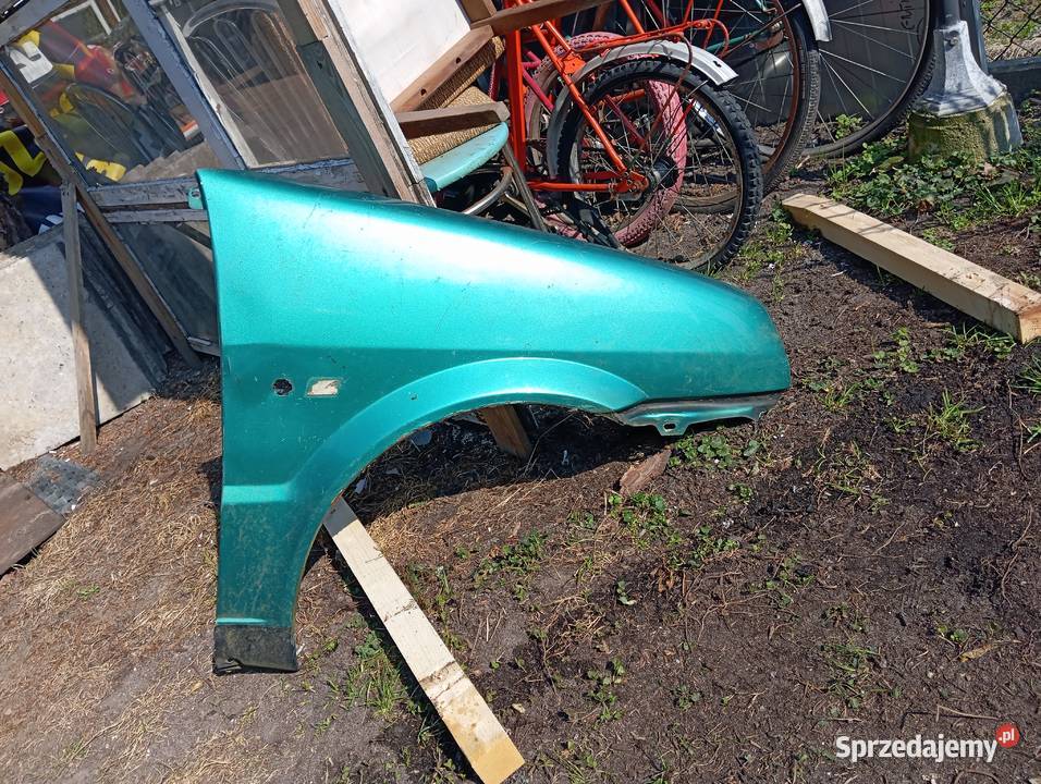 Drzwi Cinqecento Drzwi Dłutów