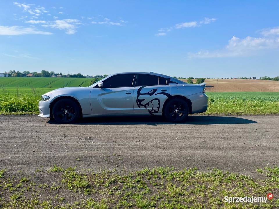 Dodge Charger 36 305 2016r zarejestrowany Charger Ślesin