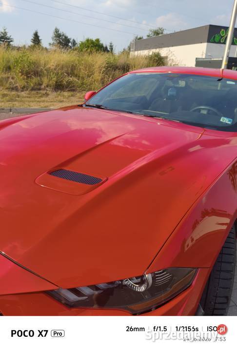 Ford Mustang 50 v8 lubelskie Lublin sprzedam