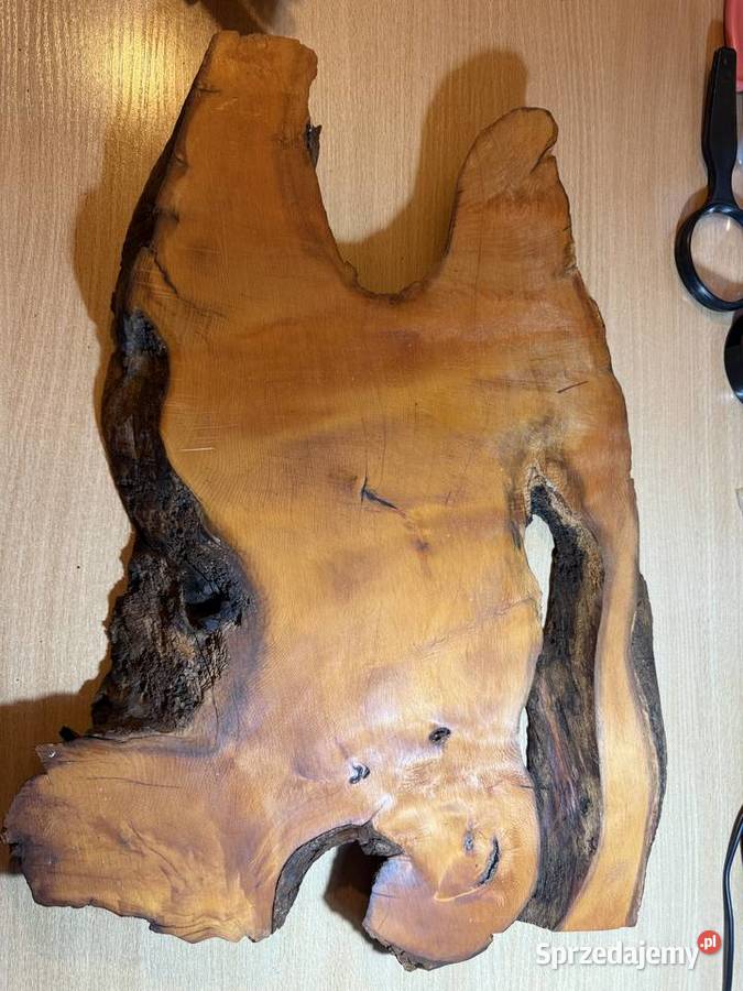 Plaster drewna Amboyna Wood śląskie Gliwice