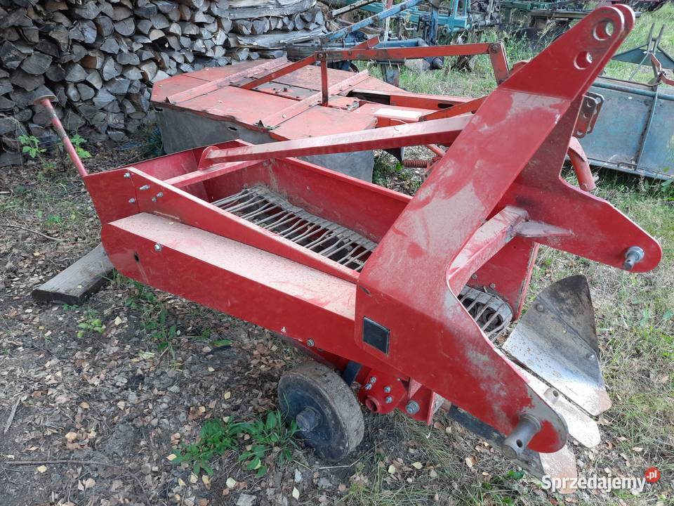 Kopaczka jednorzędowa do ziemniaków nieuszkodzony Bucze sprzedam