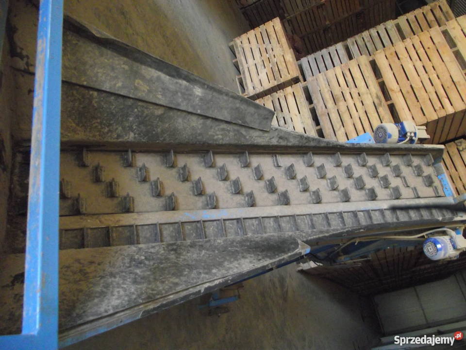 Linia sortująco pakująca sortownik do ziemiaków Borów-Kolonia