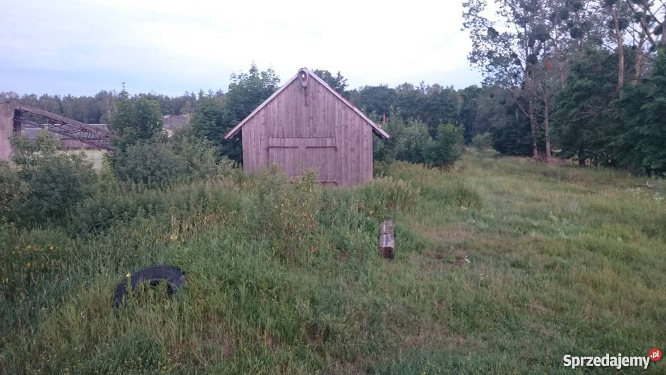 Tartak RydzewoMiastkowo telefon Rydzewo