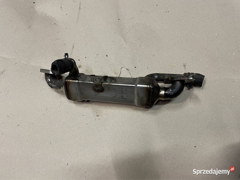 Chłodniczka egr 19tdi 038131513C seat alhambra Silniki i osprzęt zachodniopomorskie Szczecin