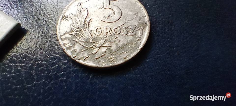 Stare monety 5 groszy 1949 PRL Polska destrukt Lesko