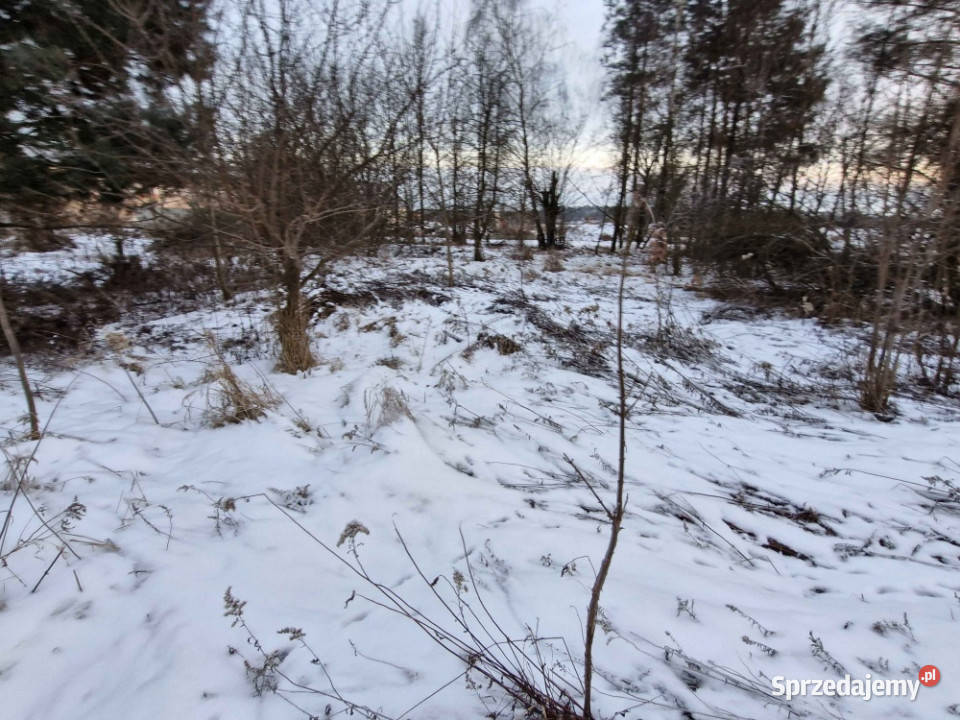 2000 m Działki Budowlanej budowlana dolnośląskie