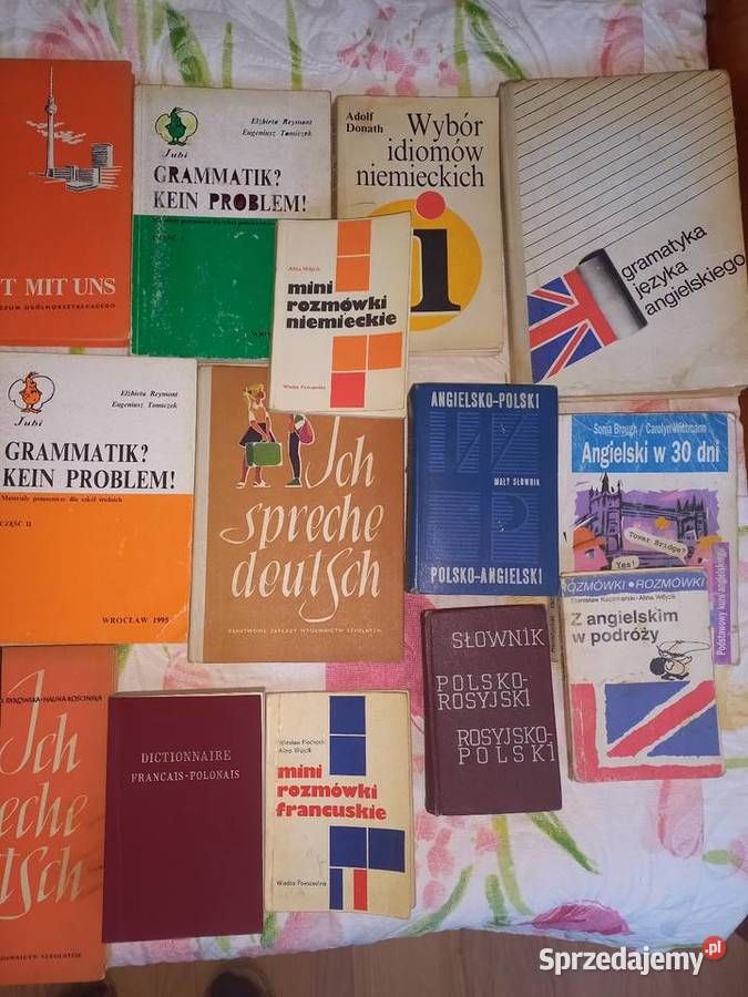 Słowniki podręcznik i rozmówki Łódź sprzedam