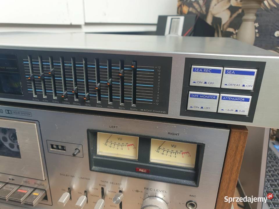 Jvc sea 33 korektor graficzny Leżajsk