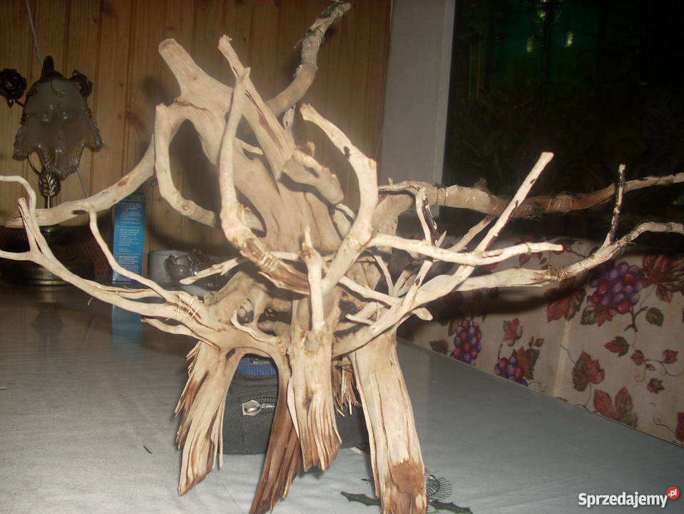 Duży korzeń do akwariumterrarium Pozostałe Kraków sprzedam