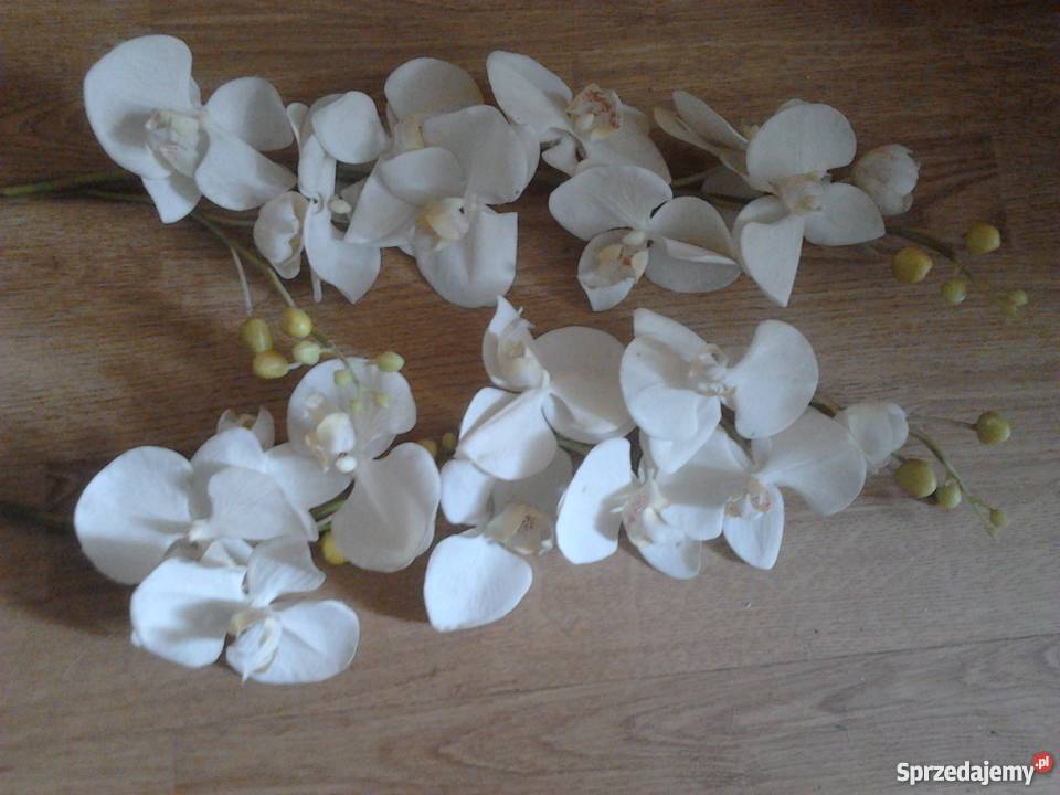 IKEA SMYCKA Sztuczny kwiat Orchidea biały Kraków sprzedam
