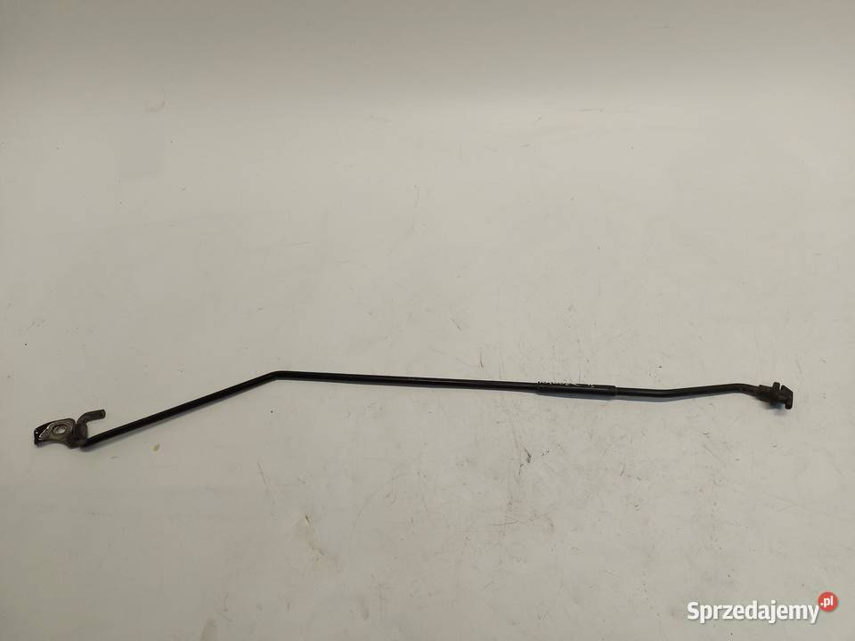 Ford Ranger VI 6 2024r PRĘT MASKI PODPORA dolnośląskie