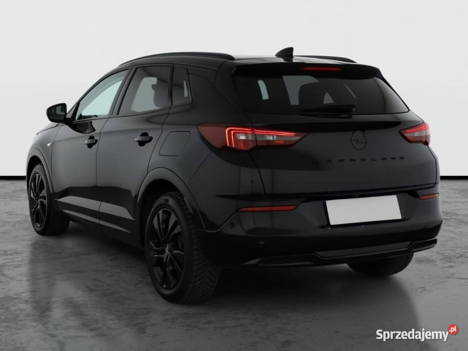 Opel Grandland Plugin Hybrid4 elektryczne szyby Piaseczno