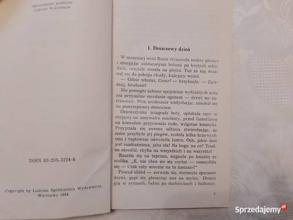 Książka WAKACJE W BORKACH Jadwiga Korczakowska ISBN 8320532248 Książki dla dzieci Oborniki sprzedam