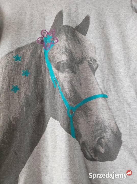 koszulka bluzka tshirt pamiątka z koniem animals Kielce sprzedam