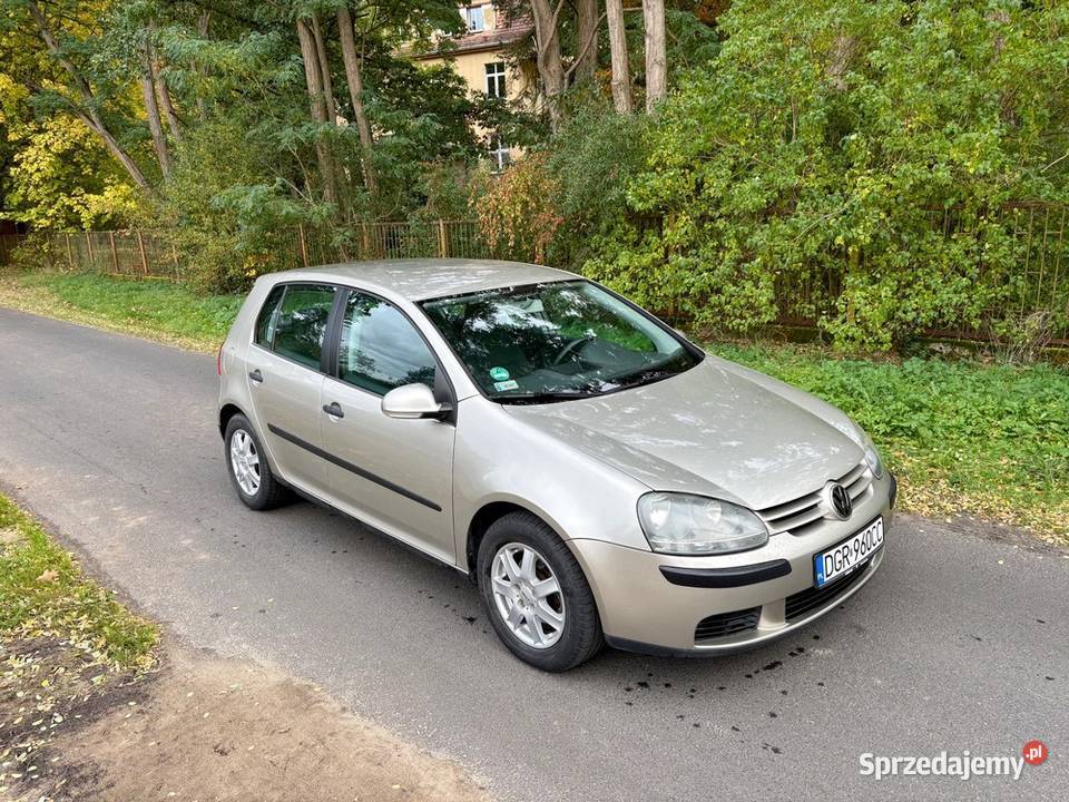 Volkswagen Golf V 14 MPI dużym serwisie Iłowa
