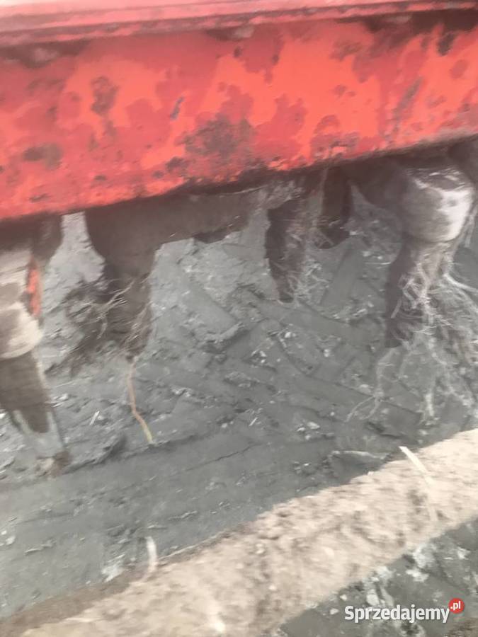 Agregat aktywny Łączki-Pawłówek sprzedam