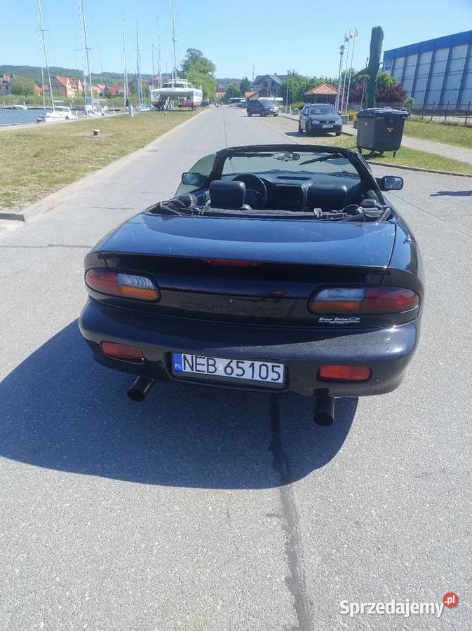 Chevrolet Camaro IV Convertible 2001r 38 V6 1 Wł Elbląg