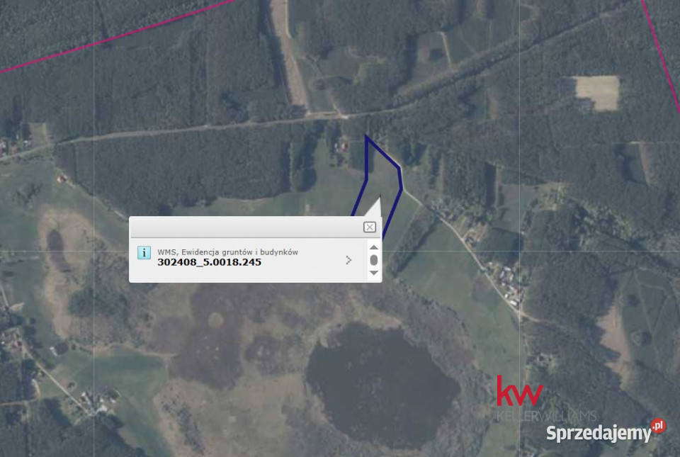 Grunt sprzedam Rzecin 40002m2 Sprzedaż