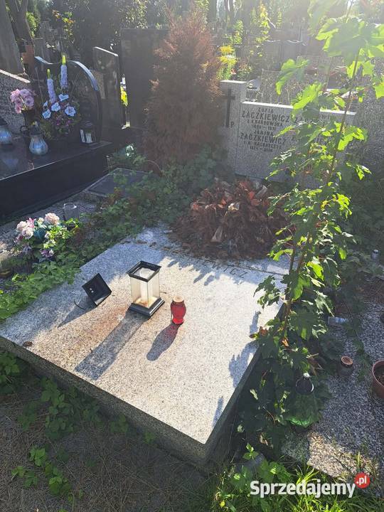 Sprzątanie grobów Warszawa i opieka grobami