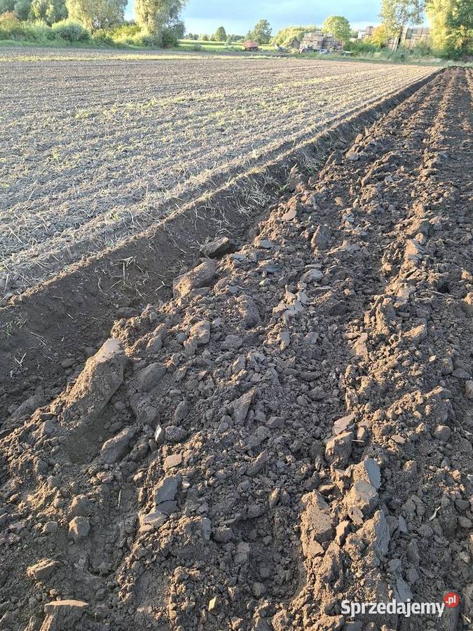 Plug vogel orginal 2014 nieuszkodzony Sochaczew sprzedam