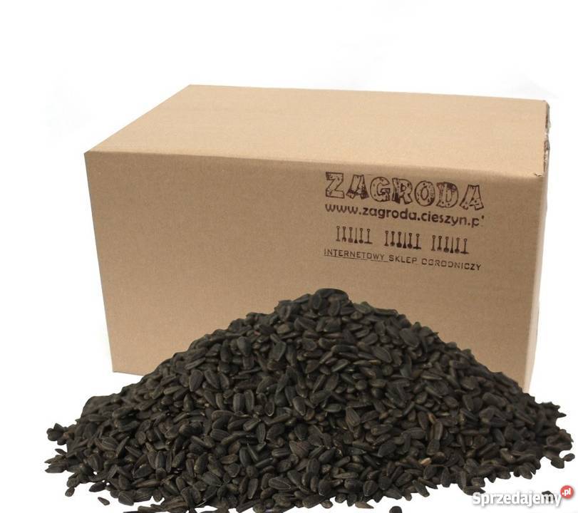 Słonecznik CZARNY Drobny CZYSTY 30 karma ptaków Cieszyn sprzedam