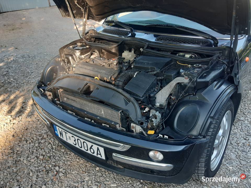 MINI COOPER R50 16 Drzewica