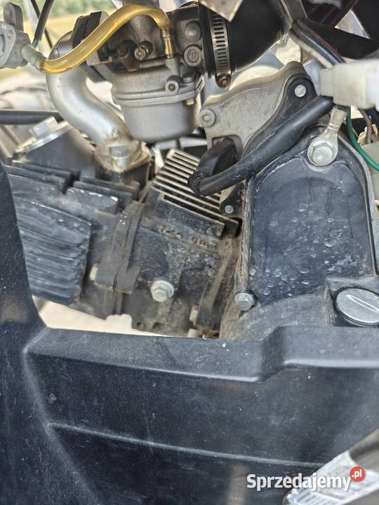 2 X Chiński Quady Korfantów