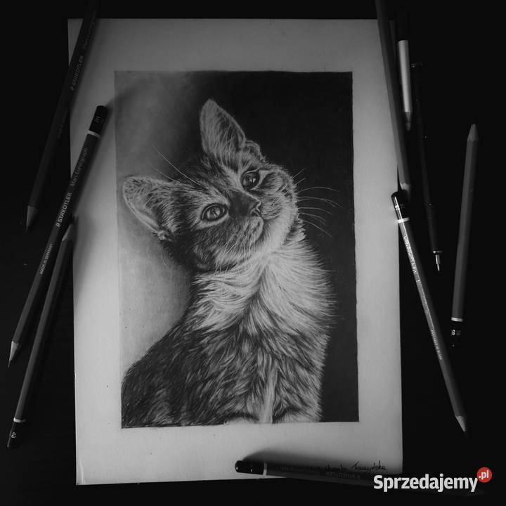 Portret rysunek ze zdjęcia na zamówienie Żółkiewka-Osada sprzedam